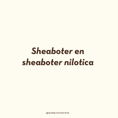 Het verschil tussen Sheaboter en Sheaboter Nilotica