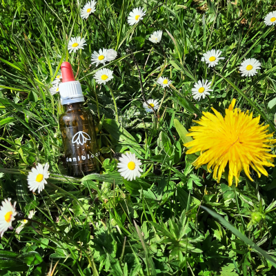 Salie tinctuur 30ml Salie tinctuur 30ml